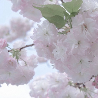 华容FurryQQ群介绍